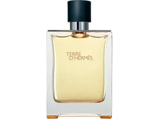 Hermes Terre D'Hermes 50 ml