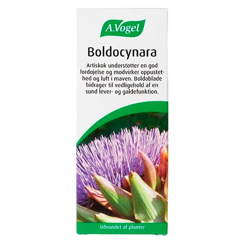 A. Vogel Boldocynara (100 ml)