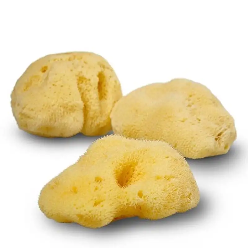 Cocoon Natursvamp Silke 7-8 cm (1 stk)