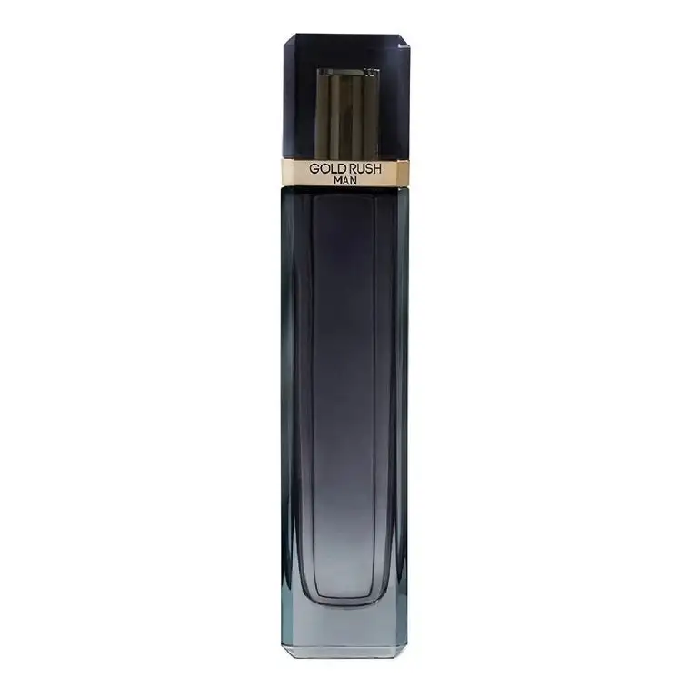 Paris Hilton Gold Rush Man Eau de toilette 100 ml