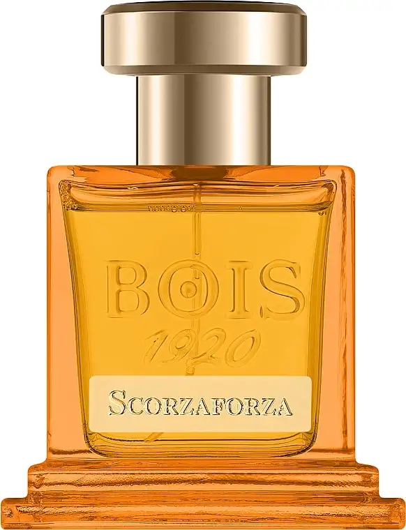 Bois 1920 Scorzaforza 35554157