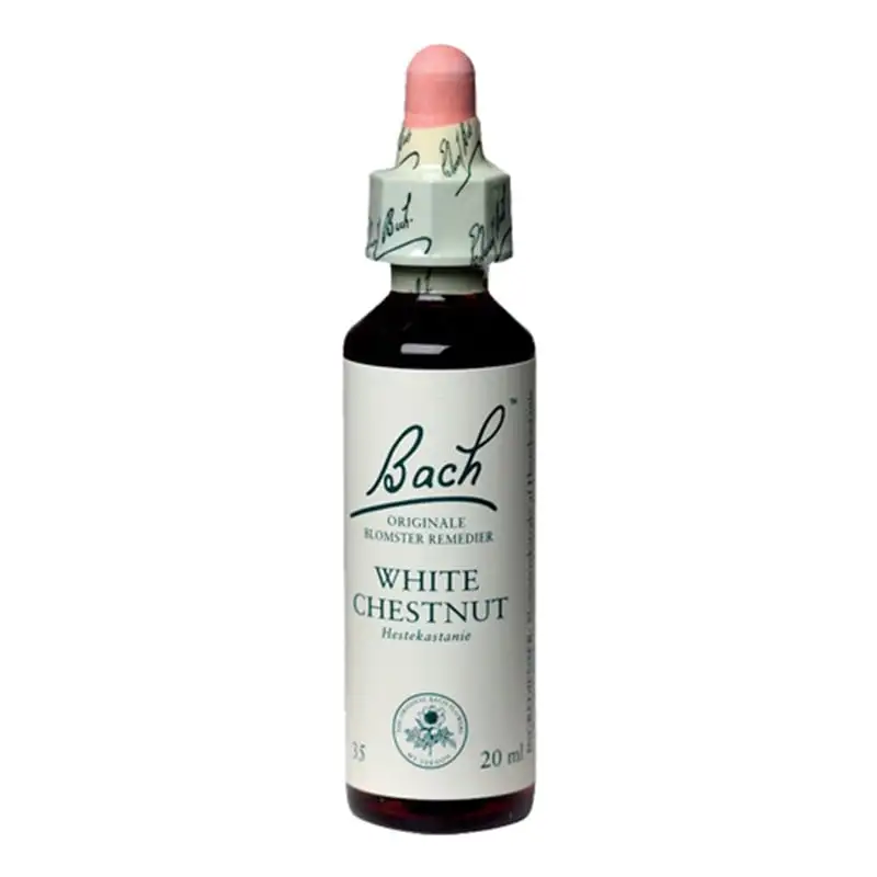 Bachs White Chestnut - Hestekastanie Hvid (20 ml)
