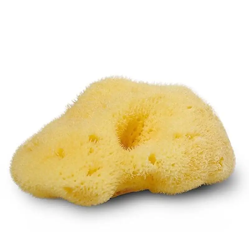 Cocoon Natursvamp Silke 4-5 cm (1 stk)