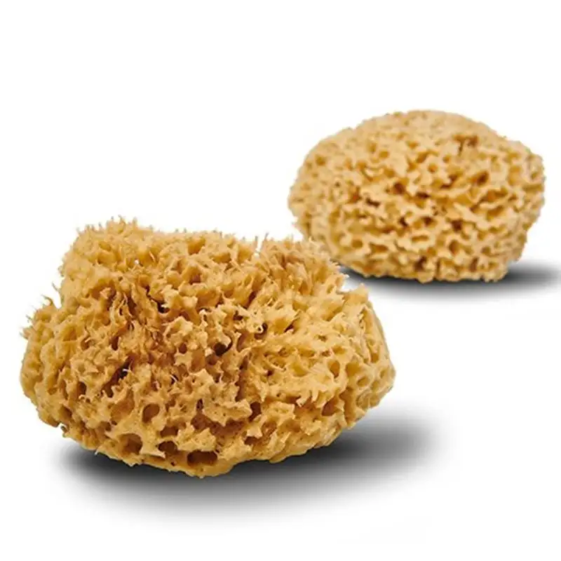 Cocoon Natursvamp Honeycomb 12 cm (1 stk)