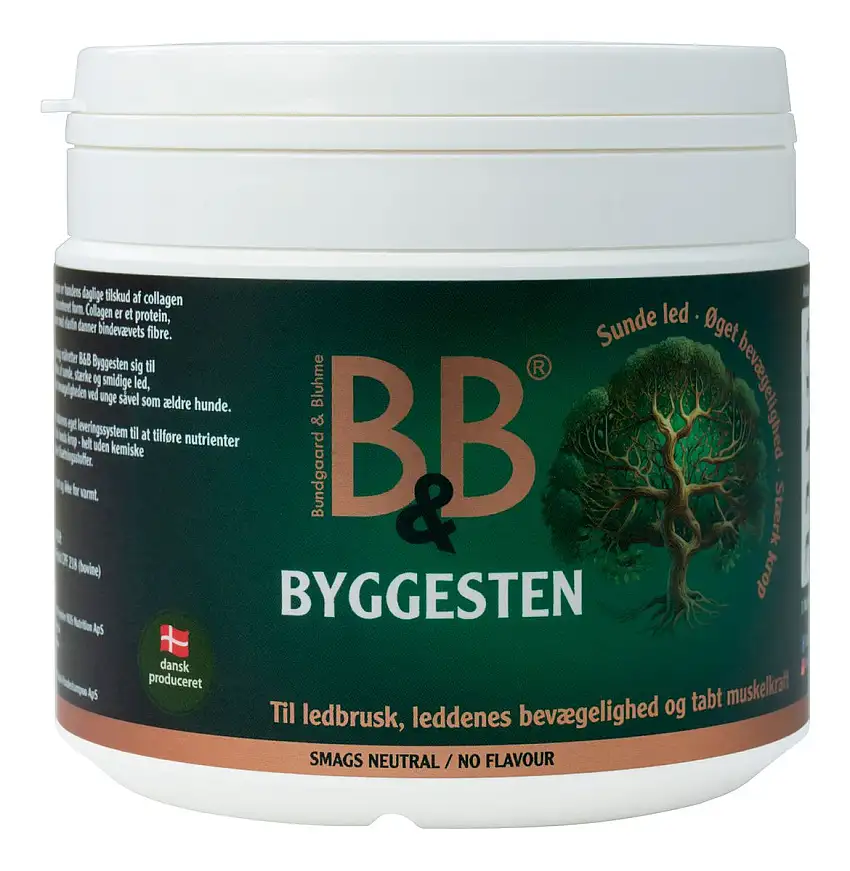 B&B Byggesten - 100 g.