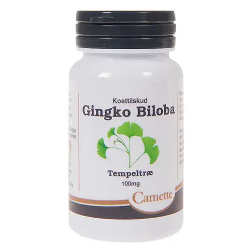 Ginkgo Biloba | 90 Tabl.